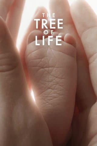 The Tree Of Life (blu-ray) (Import)