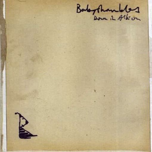 Babyshambles - Down In Albion (CD)