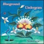 Blueground Undergrass - Faces (CD)
