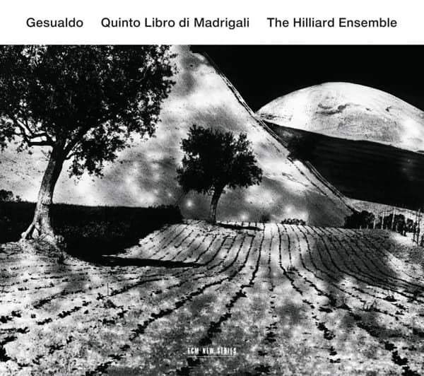 The Hilliard Ensemble - Gesualdo: Quinto Libro Di Madrigal (CD)