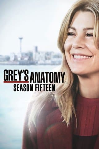Greys Anatomy Season 15 (Import)