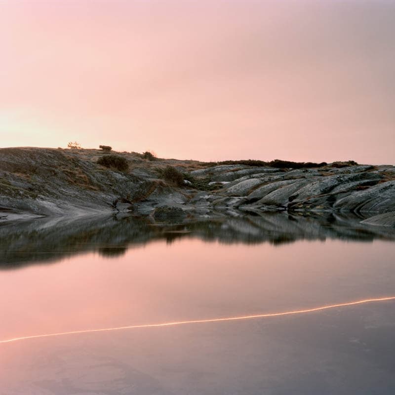 Cassandra Jenkins - (An Overview On) An Overview On Phenomenal Nature (CD)