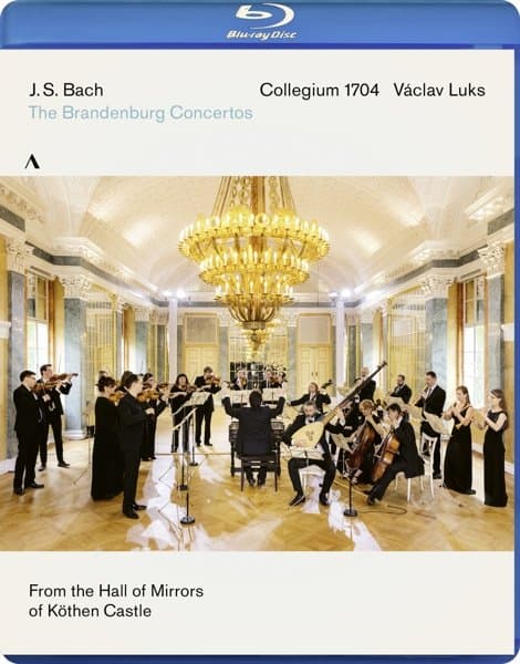 Collegium 1704 & Václav Luks - Brandenburg Concertos 1-6 Bwv 1046-1051 (Blu-ray)