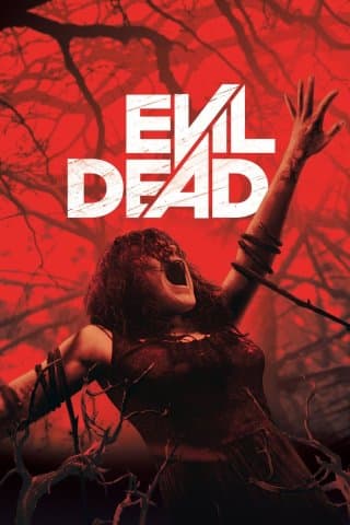 Evil Dead (2013) (Import)