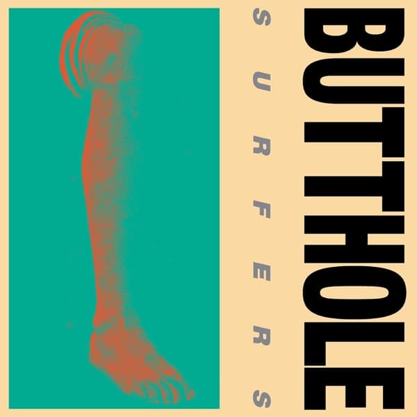 Butthole Surfers - Rembrandt Pussyhorse (LP) (Remastered)