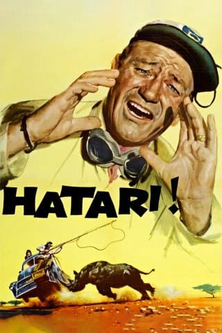Hatari (4K UHD) (USA Import)