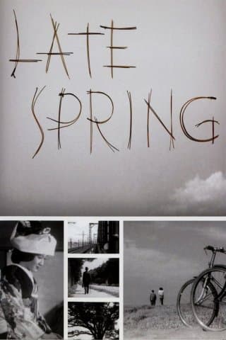 Late Spring (Import)