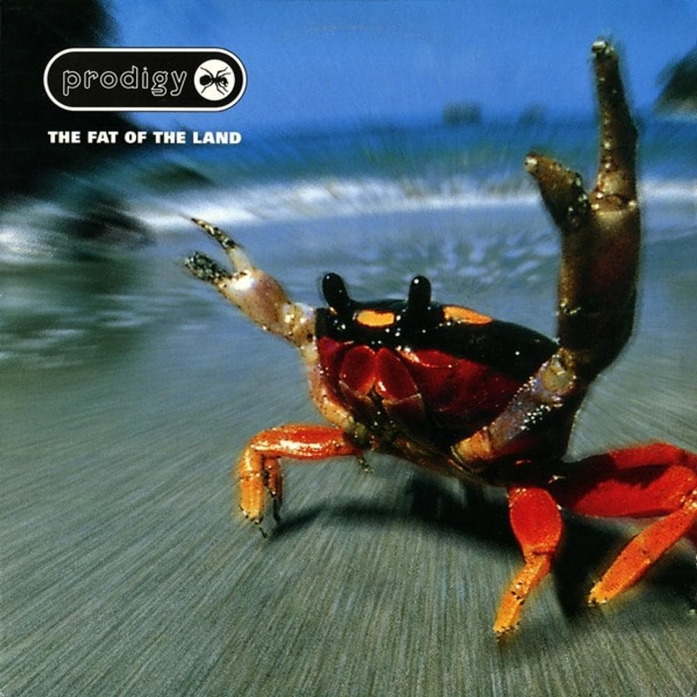 Prodigy - The Fat Of The Land (CD)