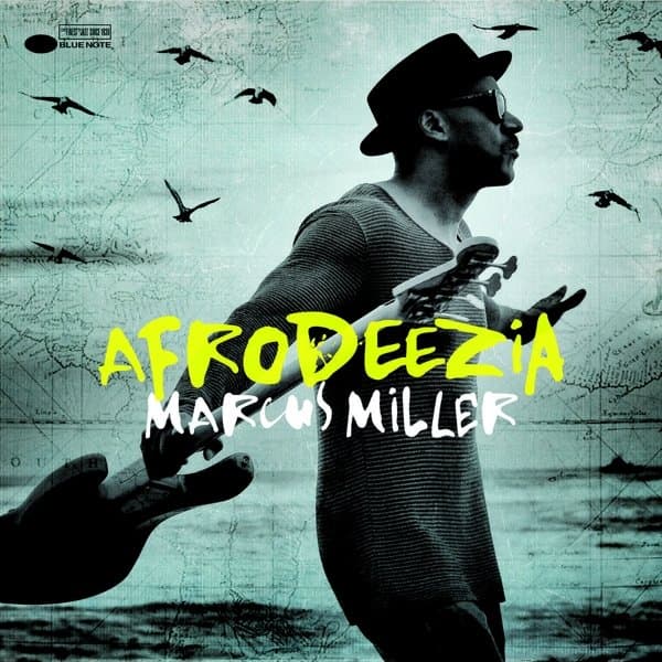 Marcus Miller - Afrodeezia (CD)