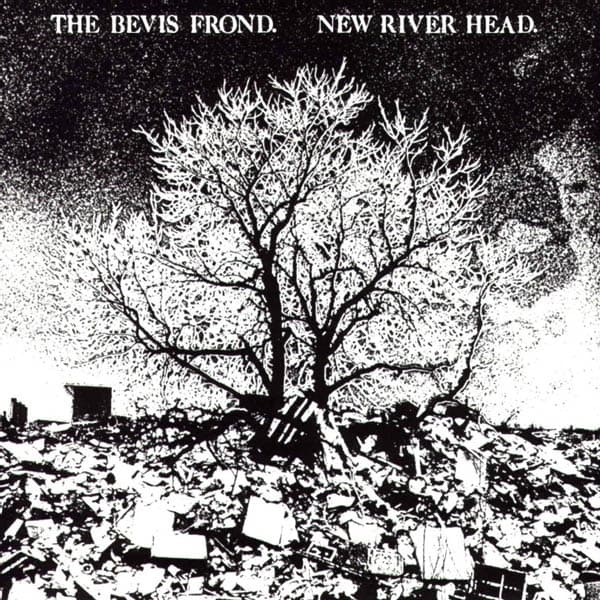 Bevis Frond - New River Head (2 LP)